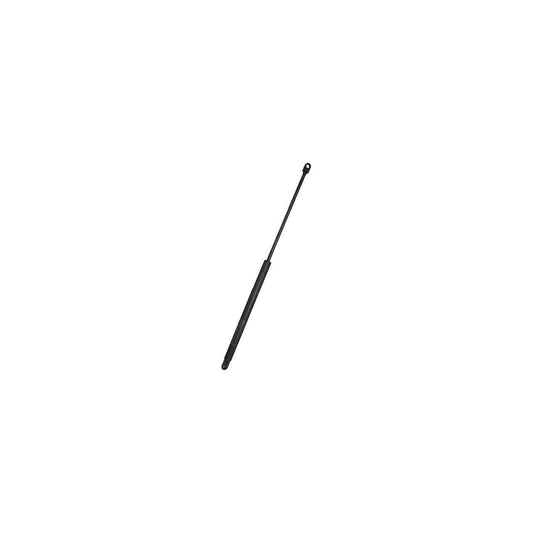 Gasdruckfeder 08/19, 210mm-A0=500mm 50N